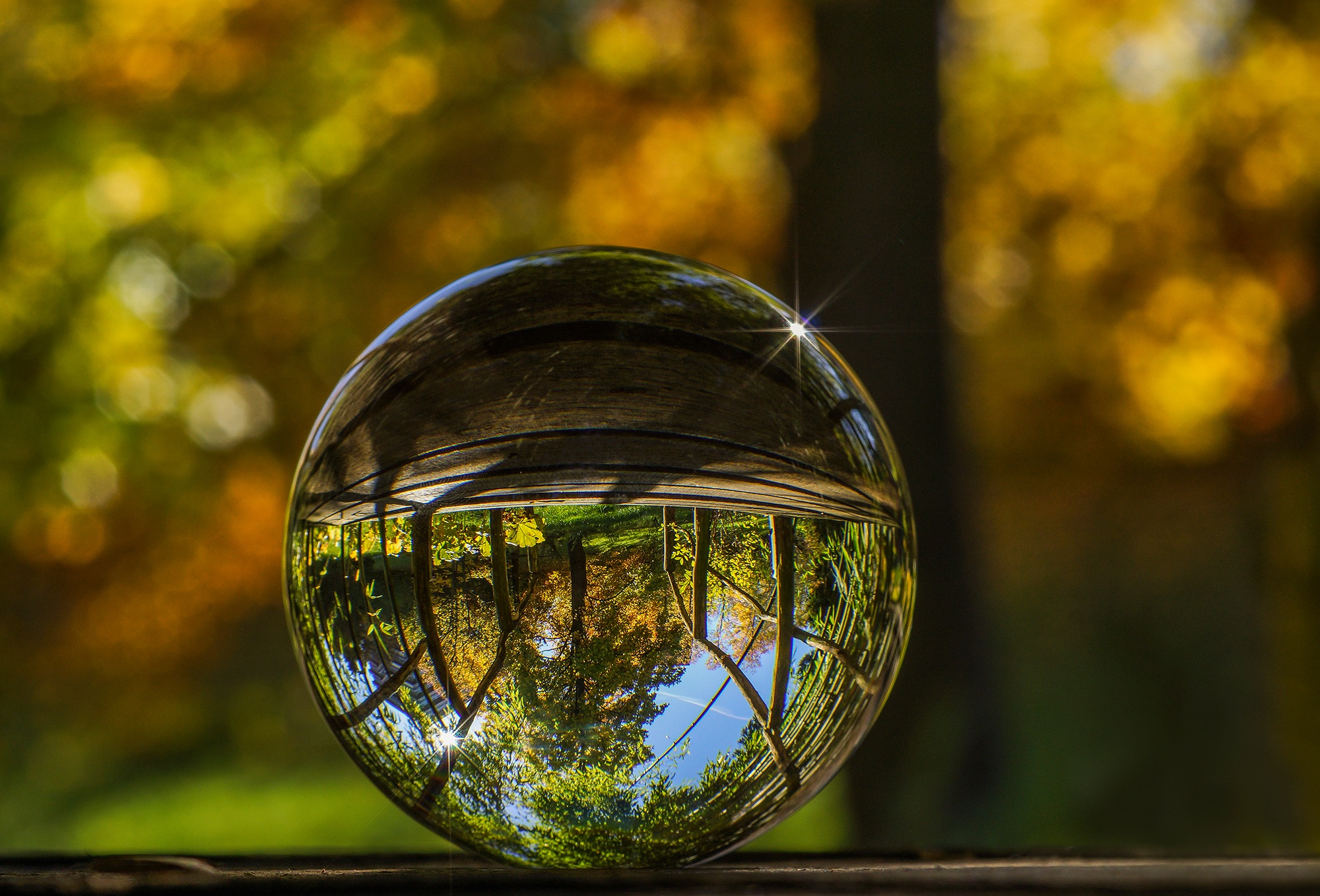 Glass ball as a symbol for the SALUTION prediction model, which calculates health predictions in addition to PRA